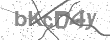 sx captcha image